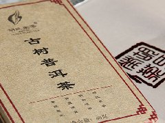 古樹(shù)熟普洱